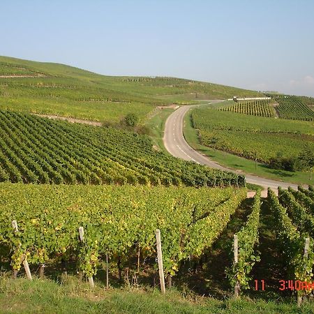 Gite Du Vigneron Turckheim Exterior foto
