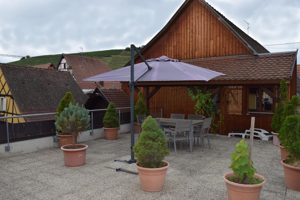 Gite Du Vigneron Turckheim Exterior foto